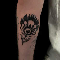 JUNIORINK Galeria